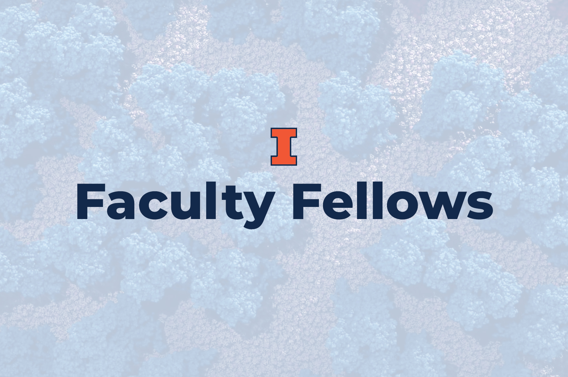 Navy Faculty Fellows text with Block I logo on a translucent blue and grey background