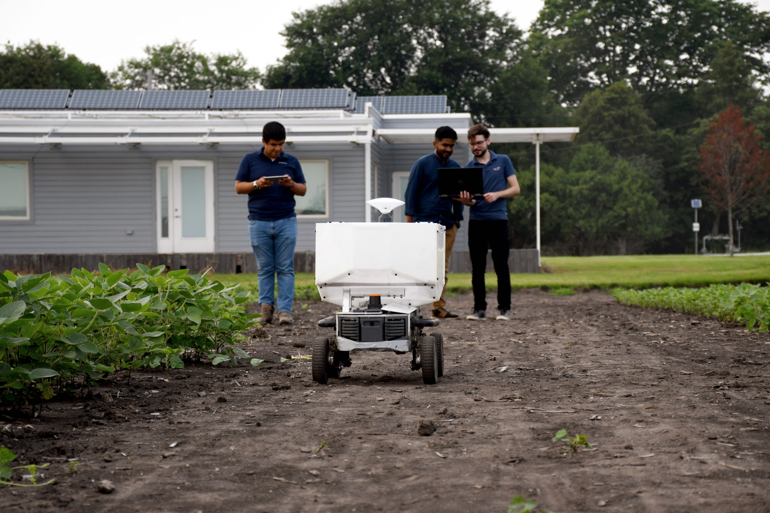 Photograph of three students holding a laptop and tablet controlling an white, calf-level high, autonomous farm robot as it moves through a soy bean field