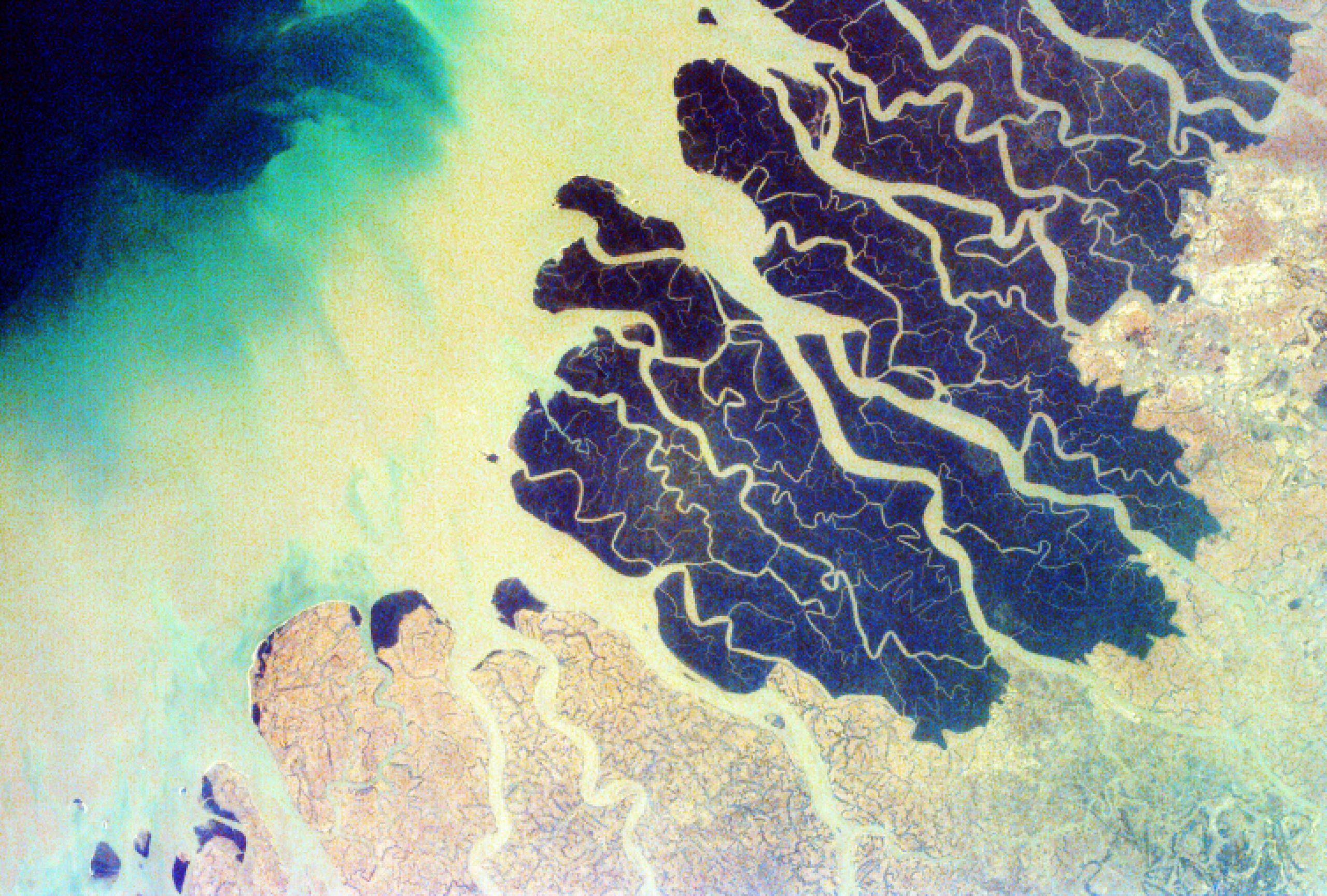 Stylized aerial photograph of Earth's rivers and bodies of water in pale yellow with dark blue masses indicating land